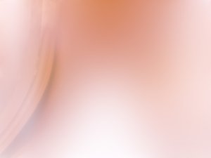 漏斗分析项目管理的核心要点
